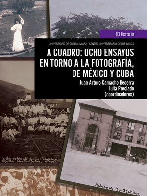 cover image of A cuadro